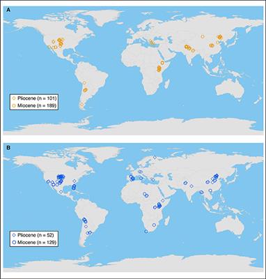 Climatic Controls on C4 Grassland Distributions During the Neogene: A Model-Data Comparison